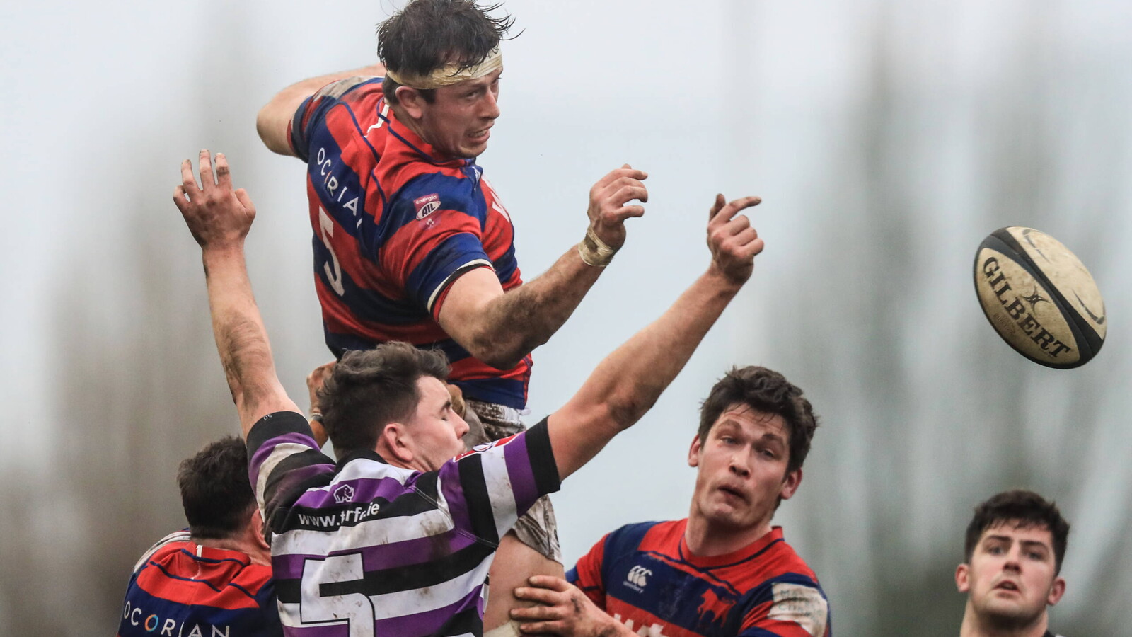 Energia AIL Live Streams - Where To Watch | Irish Rugby