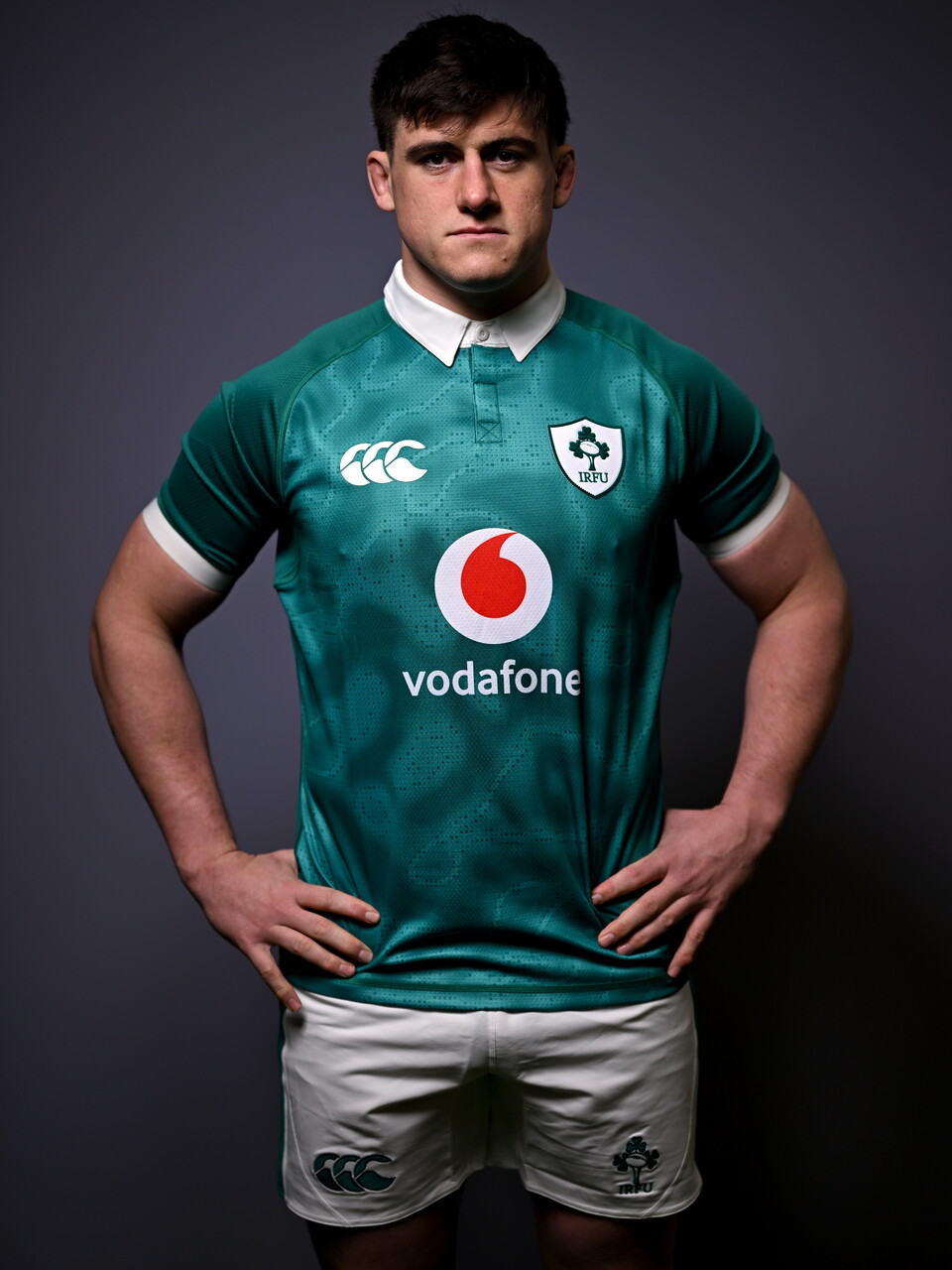 Dan Sheehan