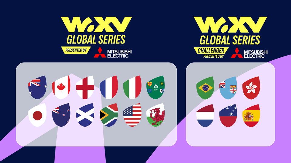an image showing the flags of the teams taking part in the Global Series 