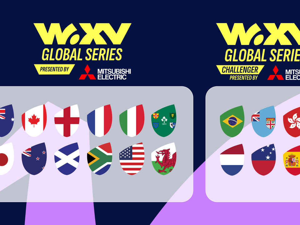 an image showing the flags of the teams taking part in the Global Series 